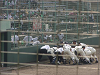 20050722-2_thumb.png