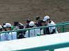 20080420_003_thumb.png