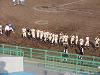 20090913_050_thumb.png