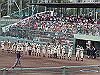 20140719_030_thumb.png