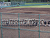 20140720_002_thumb.png