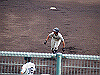 20140720_004_thumb.png