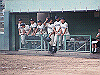 20140720_046_thumb.png